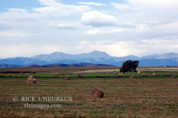 Bales With A View